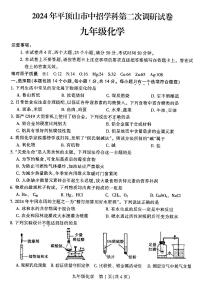 2024年河南省平顶山市九年级中招二模化学试题及参考答案