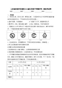 山东省东营市东营区2024届九年级下学期中考一模化学试卷(含答案)