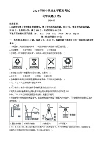 2024年山东省枣庄市山亭区第二次初中学业水平模拟考试+化学试卷