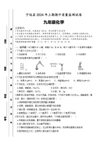 湖南省永州市宁远县2023-2024学年九年级下学期期中考试化学试题
