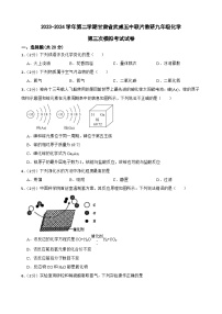 2024年甘肃省武威市凉州区武威第五中学九年级联片教研三模化学试题