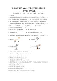 四川省自贡市高新区绿盛教育集团六校2023-2024学年九年级下学期期中联考化学试题