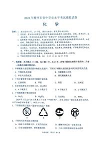 2024年广东省梅州市中考模拟预测化学试题