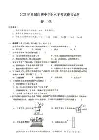 2024年广东省汕头市龙湖区中考一模化学试题