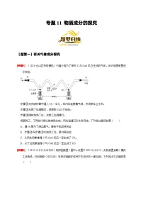 2024年中考化学二轮专项复习核心考点专题-11 物质成分的探究-(原卷版+解析版)