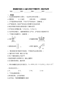 新疆喀什地区2024届九年级下学期中考一模化学试卷(含答案)