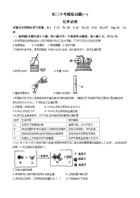 2024年湖北省武汉市江汉区中考一模化学试题(无答案)