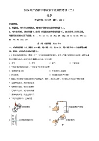 2024年广西来宾市初中学业水平适应性测试化学试卷（二）（原卷版+解析版）