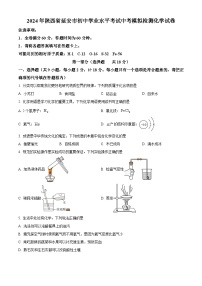 2024年陕西省延安市初中学业水平考试中考模拟检测化学试卷（原卷版+解析版）