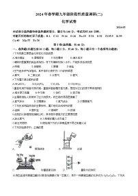 2024年江苏省常州市金坛区中考二模化学试题