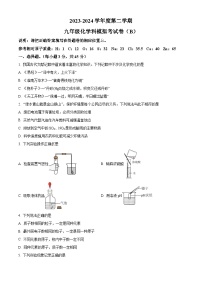 2024年广东省汕头市潮南区司马浦镇中考一模化学试题（原卷版+解析版）