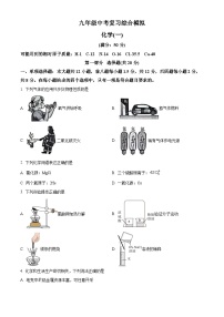 2024年广东省深圳市龙岗区宏扬学校中考模拟预测化学试题（原卷版+解析版）