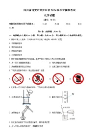 2024年四川省自贡市贡井区中考模拟化学试卷（原卷版+解析版）