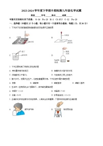 四川省自贡市荣县中学2023-2024学年九年级下学期期中检测化学试题（原卷版+解析版）