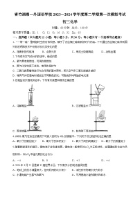 2024年湖南省长沙市青竹湖湘一外国语学校第一次中考模拟考试化学试题(无答案)