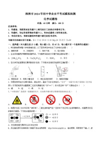 2024年湖南省株洲市初中学业水平模拟测试化学试题