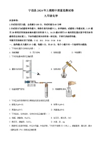 湖南省永州市宁远县2023-2024学年九年级下学期期中考试化学试题（原卷版+解析版）