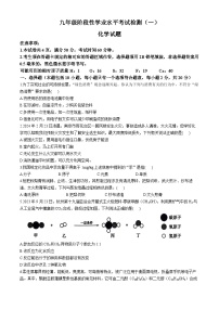 2024年山东省菏泽市鲁西新区中考一模化学试题