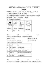 湖北省阳新县部分学校2023-2024学年九年级下学期期中联考化学试题