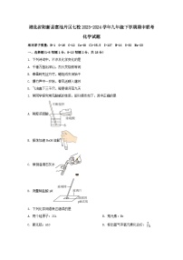 湖北省阳新县富池片区七校2023-2024学年九年级下学期期中联考化学试题