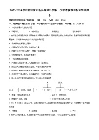 2024年湖北省阳新县陶港镇初级中学第一次中考模拟诊断化学试题卷（原卷版+解析版）