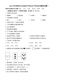 2024年西藏自治区日喀则市江孜县中考一模化学试题（原卷版+解析版）