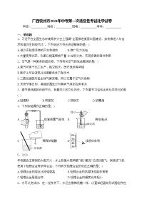 广西钦州市2024年中考第一次适应性考试化学试卷(含答案)