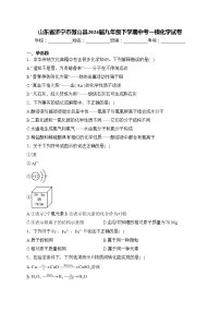 山东省济宁市微山县2024届九年级下学期中考一模化学试卷(含答案)