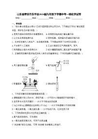 山东省泰安市东平县2024届九年级下学期中考一模化学试卷(含答案)