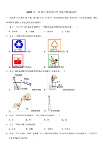 2024 年广西南宁市武鸣区中考化学模拟试卷（解析版）