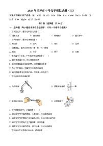 2024年天津市第五十四中学中考化学模拟试题（三）（原卷版+解析版）