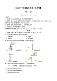 2024年中考押题预测卷（武汉卷）化学（考试版）A4