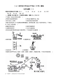 2024年山东省菏泽市单县中考一模化学试题