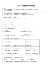 2024 年福建省中考化学模似试卷（解析版）