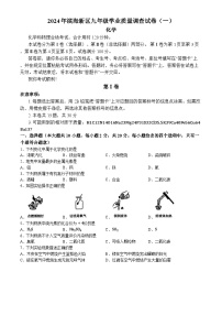 ，2024年天津市滨海新区中考一模化学试题