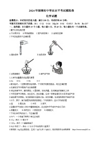 ，湖南省邵阳市邵东市2023-2024学年九年级下学期4月期中化学试题