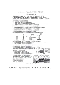 ，山东省菏泽市单县2023-2024学年下学期九年级化学期中试卷