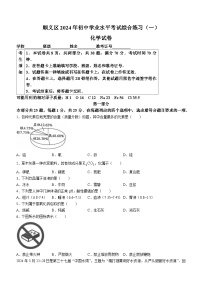 2024年北京市顺义区中考一模化学试卷