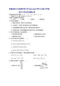 116，海南省海口市海南华侨中学2023-2024学年九年级下学期四月月考化学试题B卷