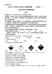 136，2024年广东省肇庆市四会市百阅大湾区百校联盟九年级一模化学试题(无答案)