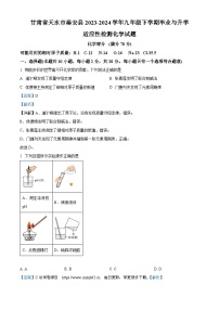 149，2024年甘肃省天水市秦安县九年级下学期毕业与升学适应性检测化学试卷