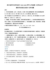 151，2024年四川省泸州市泸县九年级中考二模化学试题