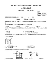 33，福建省福州市第十九中学2023-2024学年九年级下学期期中考试化学试卷(无答案)