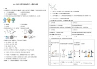 2024年山东省枣庄市薛城区中考二模化学试题