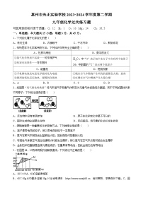 04，广东省惠州市光正实验学校2023-2024学年九年级下学期化学第一次月考试题(无答案)