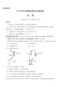 2024年中考押题预测卷（湖南卷）化学（考试版）