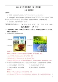 2024年中考考前最后一套押题卷：化学（济南卷）（解析版）