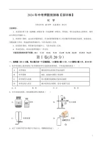 2024年中考押题预测卷（深圳卷）化学（考试版）