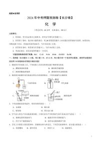2024年中考押题预测卷（长沙卷）化学（考试版）