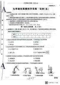 2024年陕西省汉中市中考化学仿真模拟示范卷（五）